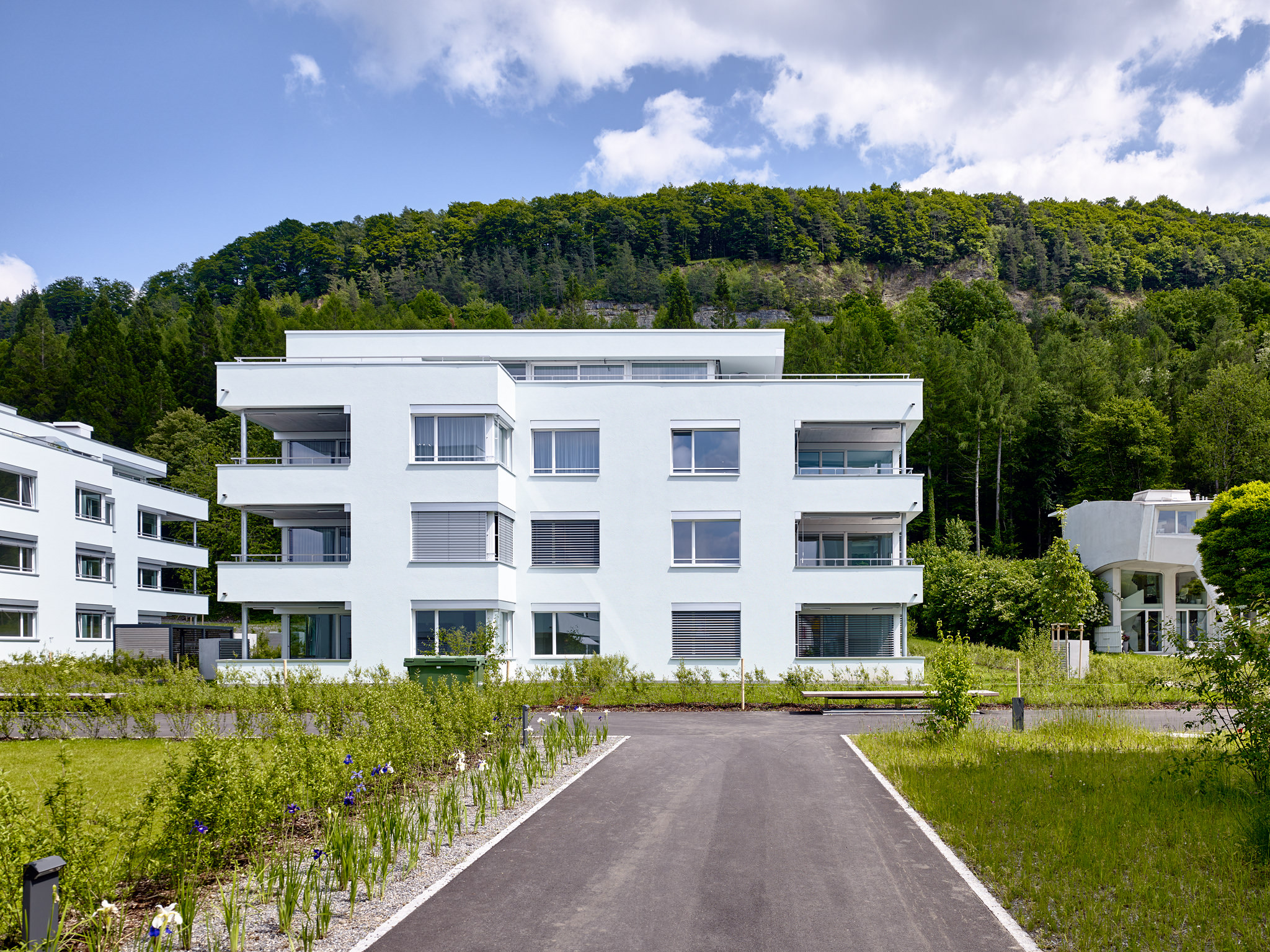 E15551 Alpa 051129 SCREEN